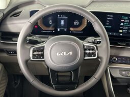 Kia Carnival full