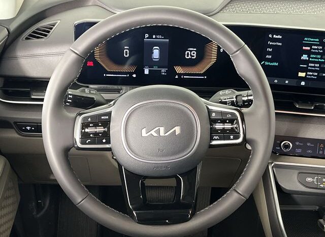 
 Kia Carnival full									