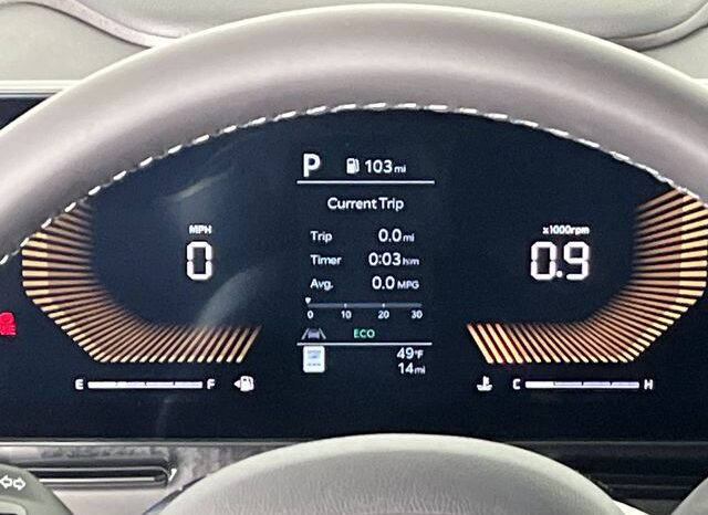 
 Kia Carnival full									