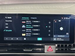 Kia Carnival full