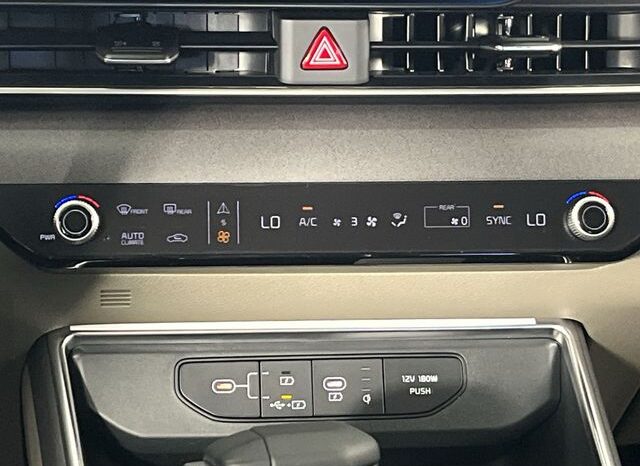 
 Kia Carnival full									