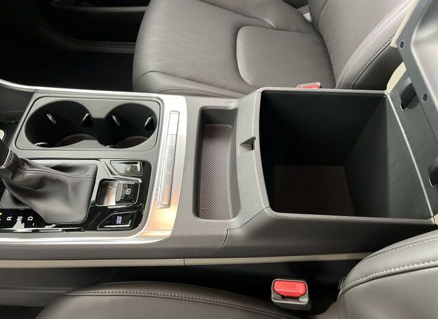 
 Kia Carnival full									