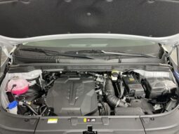 Kia Carnival full