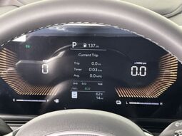 
 Kia Carnival Hybrid full									