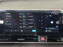 
 Kia Carnival Hybrid full									