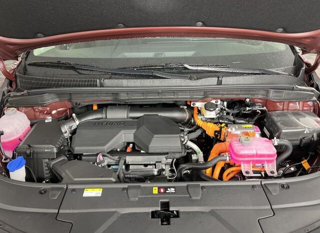 
 Kia Carnival Hybrid full									
