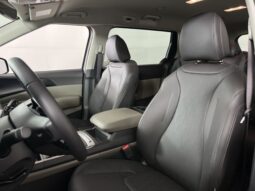 Kia Carnival full