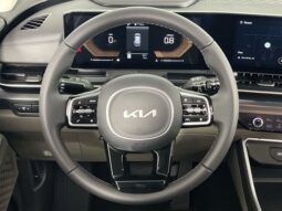 Kia Carnival full