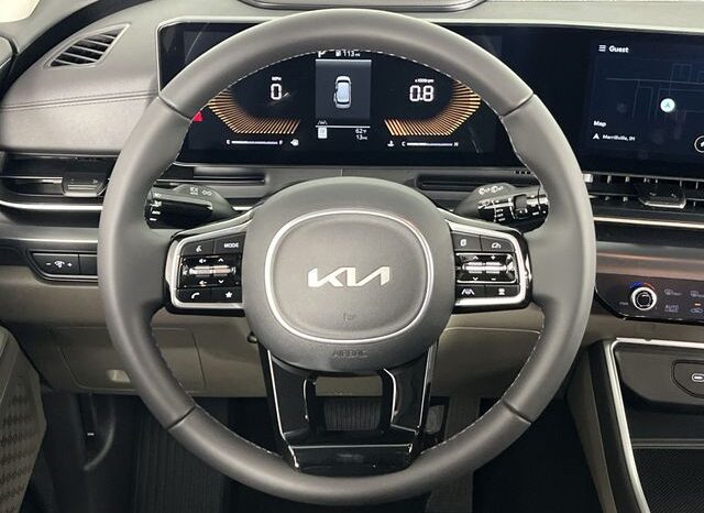 
 Kia Carnival full									
