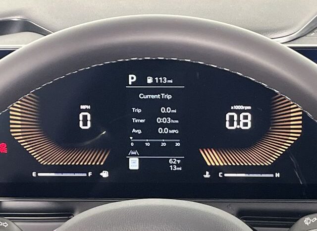 
 Kia Carnival full									