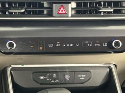 Kia Carnival full