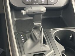 Kia Carnival full