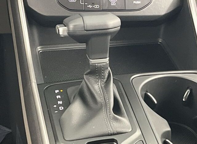 
 Kia Carnival full									