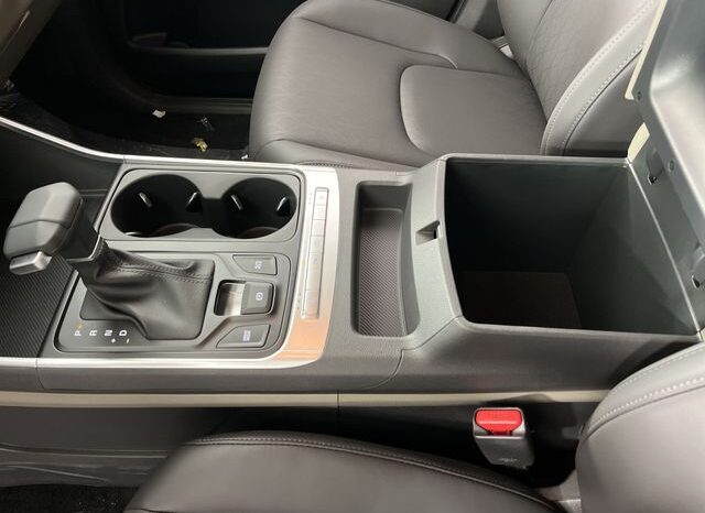 
 Kia Carnival full									