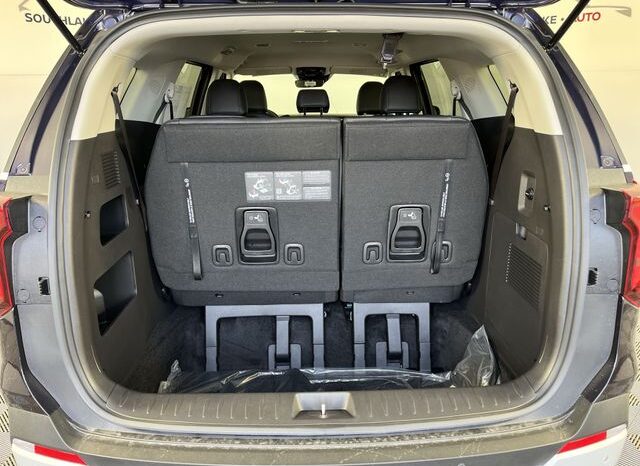 
 Kia Carnival full									