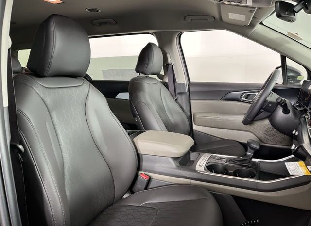 
 Kia Carnival full									