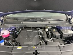 Kia Carnival full