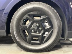 Kia Carnival full