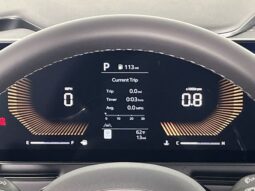 
 Kia Carnival full									