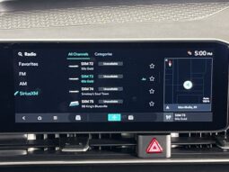 
 Kia Carnival full									