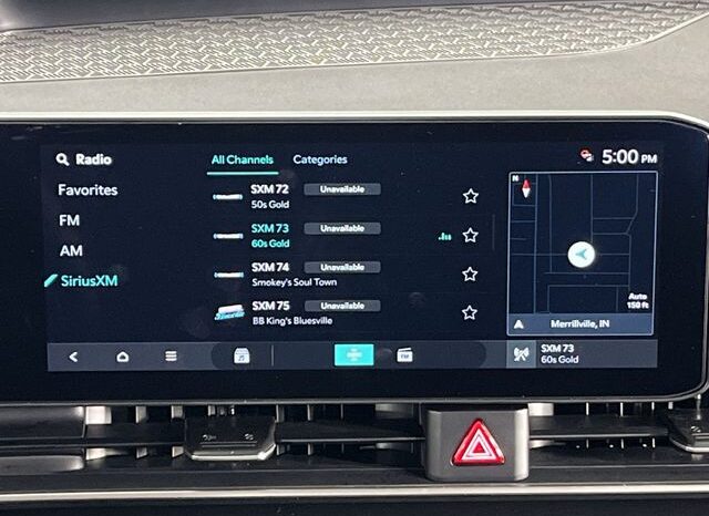 
 Kia Carnival full									