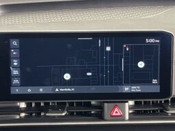 
 Kia Carnival full									