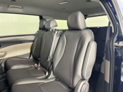 
 Kia Carnival full									