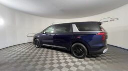 
 Kia Carnival full									