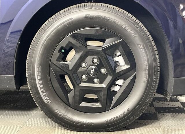 
 Kia Carnival full									
