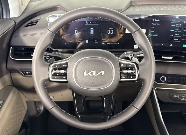 
 Kia Carnival Hybrid full									
