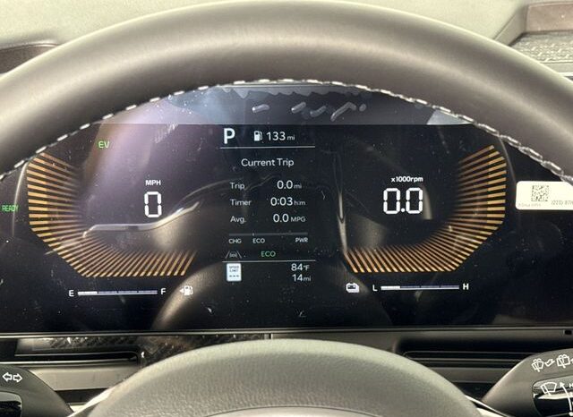 
 Kia Carnival Hybrid full									