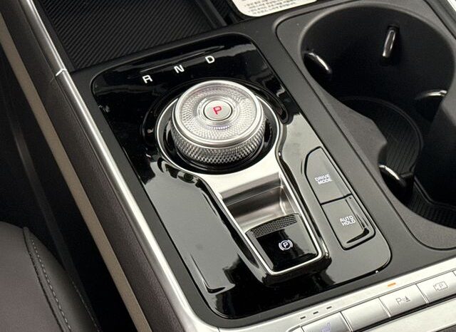 
 Kia Carnival Hybrid full									