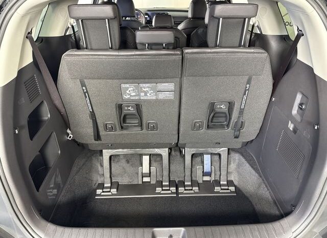 
 Kia Carnival Hybrid full									