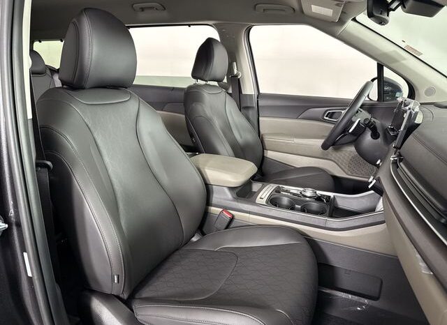 
 Kia Carnival Hybrid full									