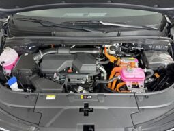 Kia Carnival Hybrid full