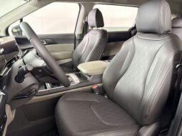 
										Kia Carnival full									