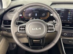 
										Kia Carnival full									