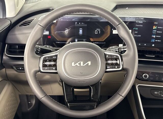 
								Kia Carnival full									