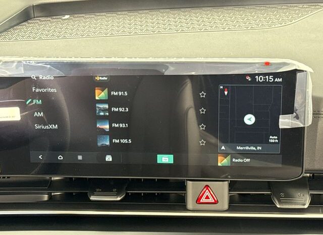 
								Kia Carnival full									