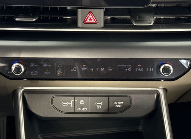 
								Kia Carnival full									