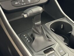 
										Kia Carnival full									