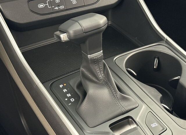 
								Kia Carnival full									