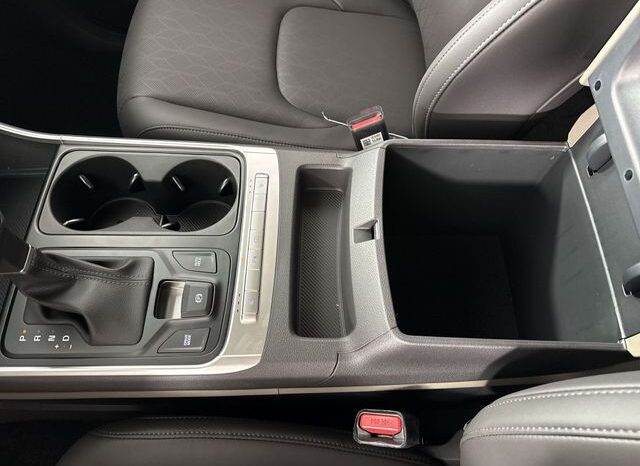 
								Kia Carnival full									