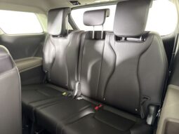 
										Kia Carnival full									