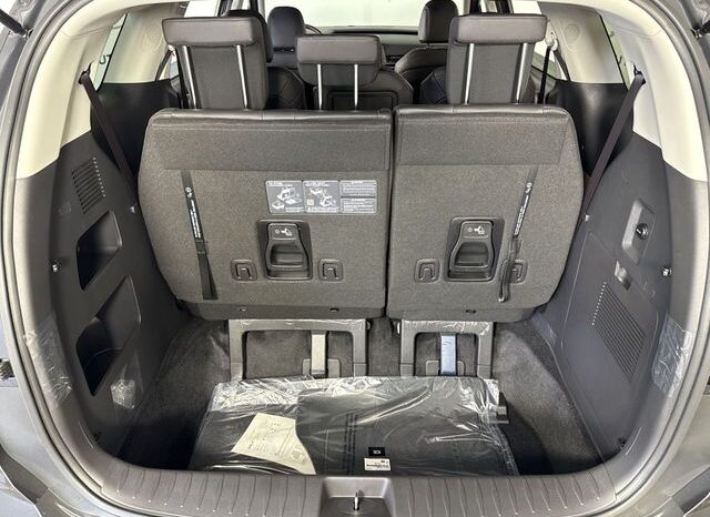 
								Kia Carnival full									