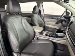 
										Kia Carnival full									