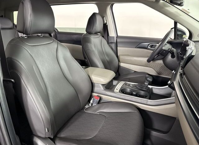 
								Kia Carnival full									