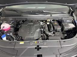 
										Kia Carnival full									