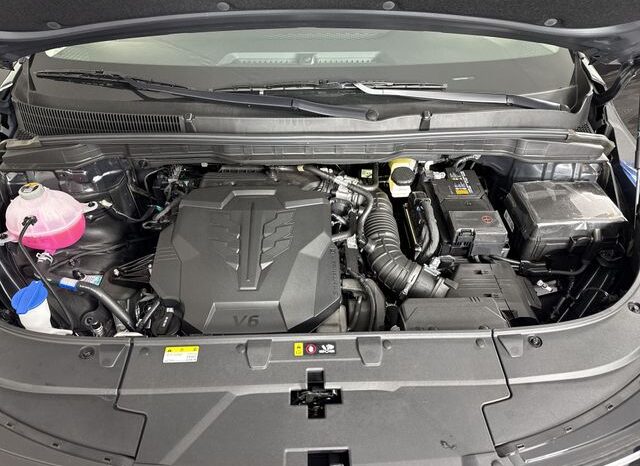 
								Kia Carnival full									