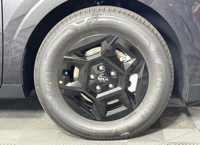 
								Kia Carnival full									